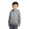 Port & Company® Core Fleece Pullover Hooded Toddler Sweatshirt